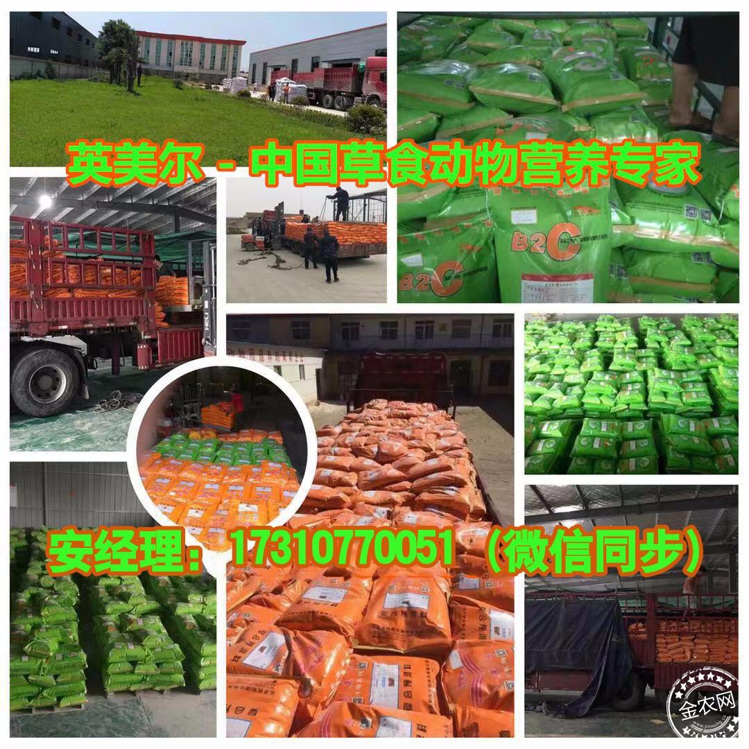 11月4日臨沂飼料廠(chǎng)招聘應(yīng)聘全流程指南，入門(mén)到錄用